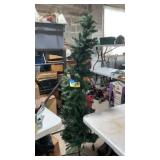 6ft tree