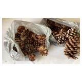 Pinecones