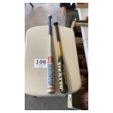 Two aluminum youth, baseball bats