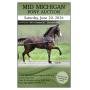 Mid Michigan Pony Auction 
