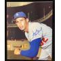 Sandy Koufax Autographed 8X10 Color Photo