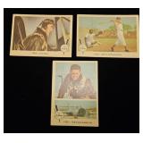 (3) 1959F Ted Williams Baseball Cards