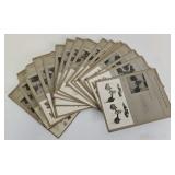 (17)1914 Obstetrical Gynecology Stereoscopic Cards