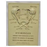 Bausch & Lomb Doctors Office 3-D Adv. Sign