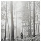 Record - Taylor Swift "Folklore" 2LP Set