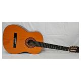 Salvador Ibanez GA3-14-02 Acoustic Guitar