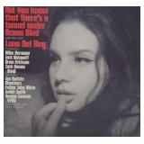 Record - Lana Del Rey "Did You Know.." Gatefold LP