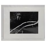 Ryuijie "Fuchsia & Branches" Gelatin Silver Print