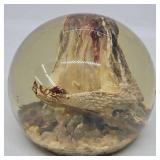 4 3/4" Dia Rattlesnake Dome Paperweight