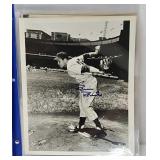(10) Phillies Robin Roberts Autographs
