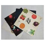 (4) High Grade Cream LP Records