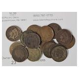 (16) Indian Head Cents