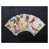 (10) 1953 Bowman Color Baseball Cards