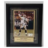 8' X 10' Autographed Drew Brees Photo