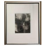 Luca Paradisi Ltd Edition Platinum Palladium Print
