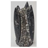 Orthoceras Fossil Tower, 7" High