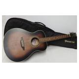 Luna Art V Folk Guitar Soft Case