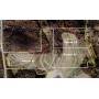63 Acres Land - Lisbon, OH - 19074