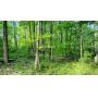 14 Acres Of Land - Stow, OH - 19401
