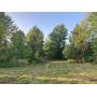 30 Acres Land - Diamond, OH - 19452