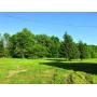 40 Acres With Home - North Jackson, OH - 19457