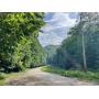 170 Acres Wooded Land - Loudonville, OH - 19444