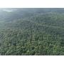 170 Acres Wooded Land - Loudonville, OH - 19444