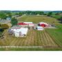 17-Acre Show Farm - Beach City, OH - 19852