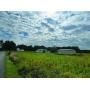 90 Acre Farm - Kinsman, OH - 19933