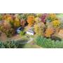 2 Secluded Homes On 6.4 Acres - Clinton, OH - 20155
