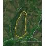 125+ Acres In Gilmer Co. - Glenville, WV - 20606 