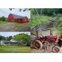 Country Home And Barn On 40 Acres - Kinsman, OH - 21210