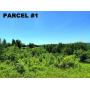 126 Acres Land - Woodsfield, OH - 21717