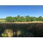 7.6 Acres Of Land W/ Stream - 16126