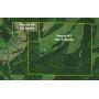 203 Acres - Mostly Wooded Land - Malvern, OH - 16569