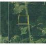 29.65+ Acres Wooded Hunting/Recreation Land - Salineville, OH - 16709