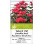 FLOWER, SHRUBS & PLANT AUCTION