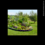 HUGE SPRING MADNESS LAWN & GARDEN & INVENTORY REDUCTION FOR SAUDER'S NURSERY AUCTION