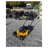 Dewalt Self Propelled Walk Behind Mower