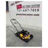 Dewalt Self Propelled Walk Behind Mower