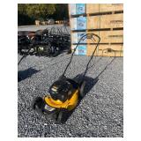 Dewalt Self Propelled Walk Behind Mower
