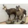 TAXIDERMY AUCTION