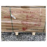 New IRGC40 High End Mini Golf Cart