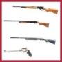 FIREARMS & SPORTING GOODS AUCTION