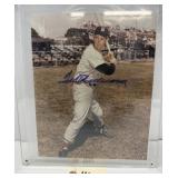 Autographed Photo - Ted Williams - w/ COA