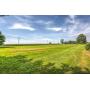 1.65 Acre of Vacant Land w/Well, Septic & Electric 