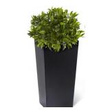 Garvee Self Watering Planter