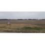 Land Auction,116 Ac. Washington, IN~ONLINE BIDDING Available