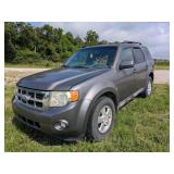 2010 Ford Escape XLT