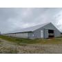 Online Auction - Turkey Barns (Montgomery, IN)